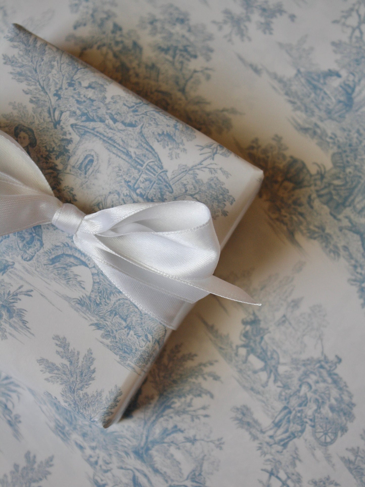 French Blue Toile Gift Wrap